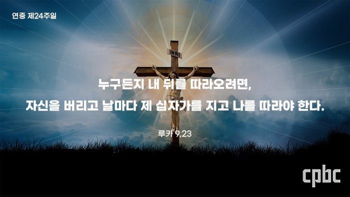 paT1694564010169.jpg