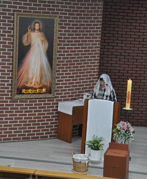 DSC_3796a.jpg